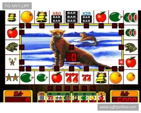 便捷快速获取老虎机街机单机版，满足玩家随时随地娱乐休闲的需求