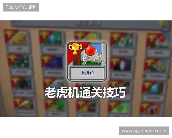 图解多福多财老虎机攻略全面分析提升中奖几率的实用技巧指南