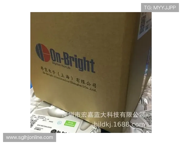 昂宝电子IPO申报进展情况详细介绍投资者关注的最新信息